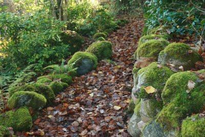 mossy woodland walls - abriachan nurseries